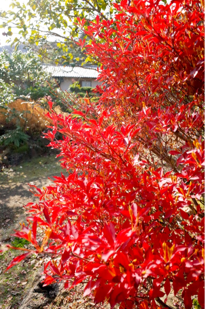 f:id:totorotabi:20190414231343j:image f:id:totorotabi:20190414231343j:image