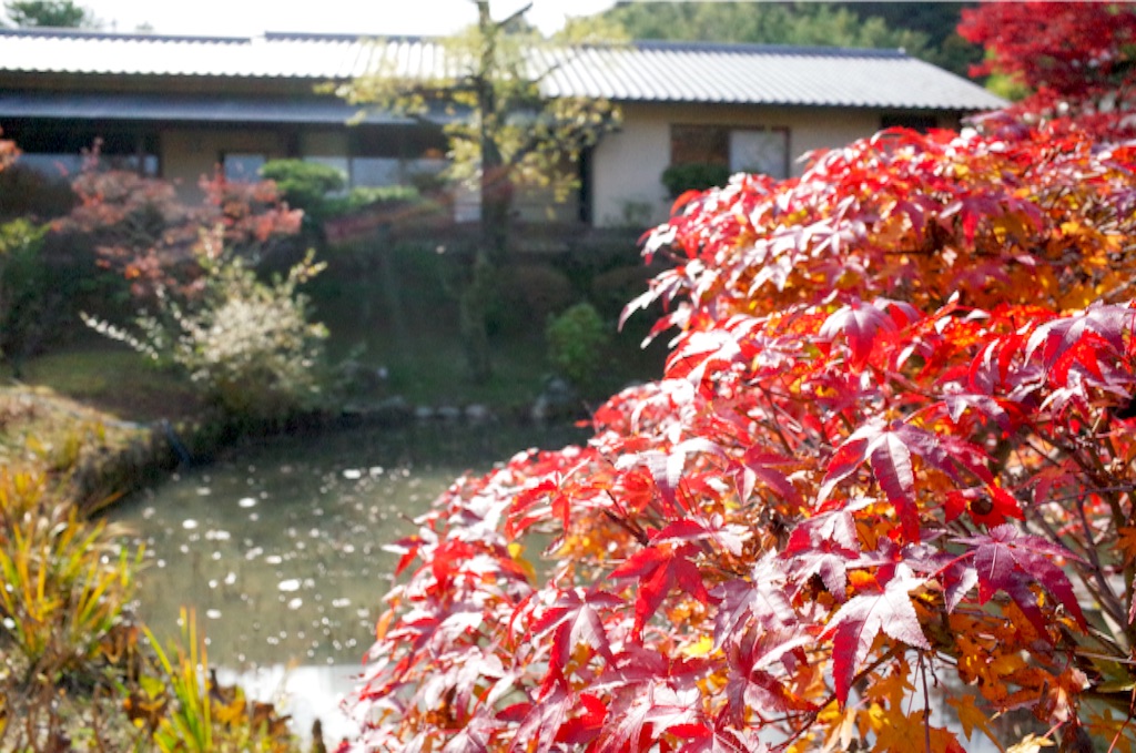 f:id:totorotabi:20190414231415j:image f:id:totorotabi:20190414231415j:image