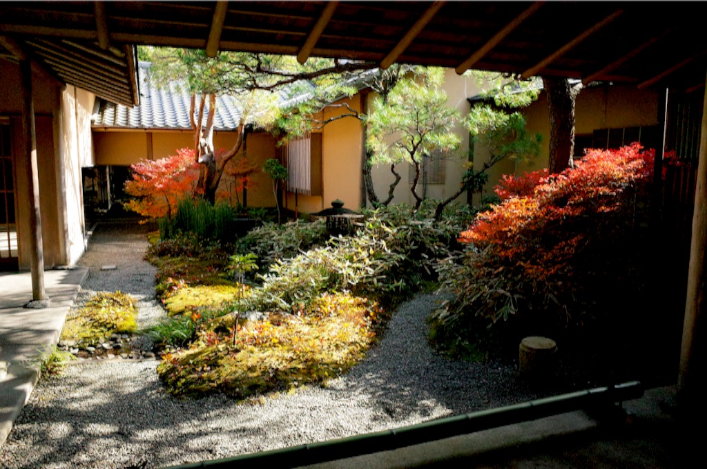 f:id:totorotabi:20190414231531j:image f:id:totorotabi:20190414231531j:image