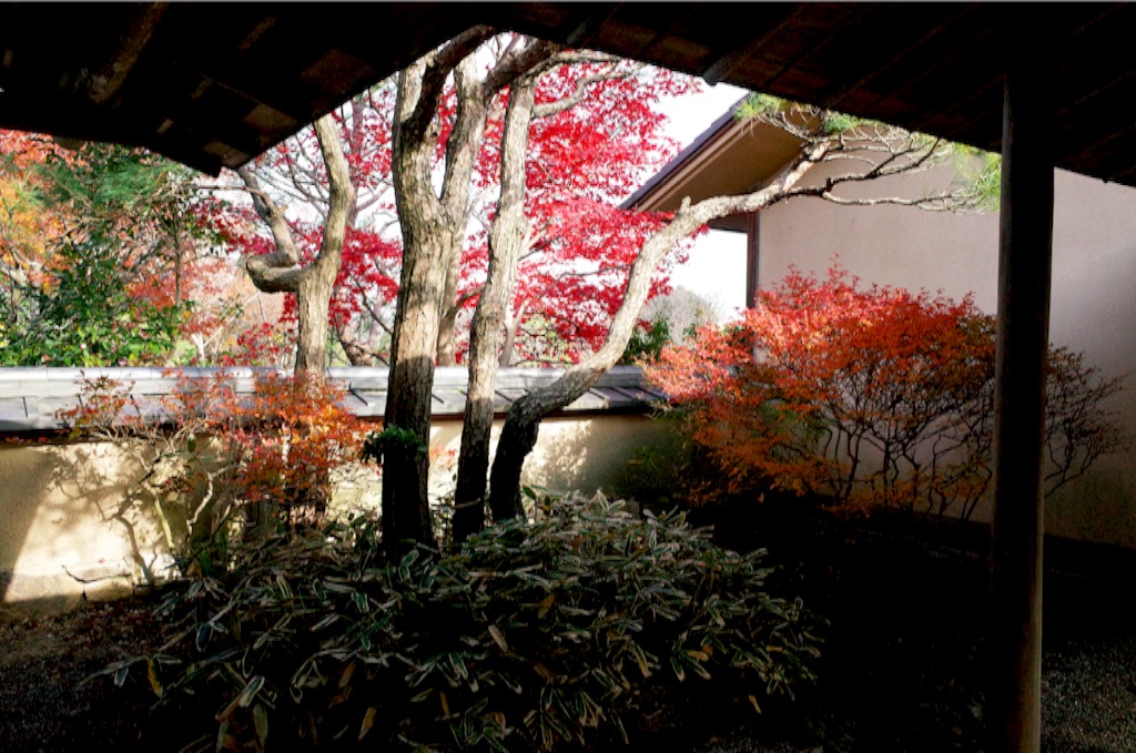 f:id:totorotabi:20190414231623j:image f:id:totorotabi:20190414231623j:image