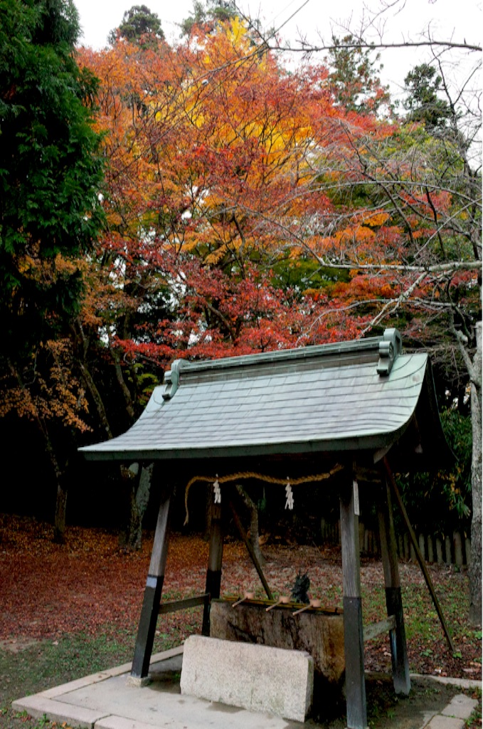 f:id:totorotabi:20190414232613j:image f:id:totorotabi:20190414232613j:image