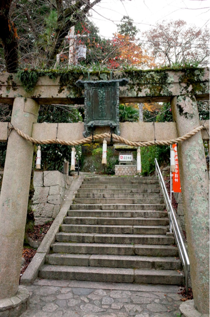 f:id:totorotabi:20190414232709j:image f:id:totorotabi:20190414232709j:image