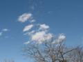 [雲][空][冬]枯れ木と雲と青空