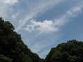 [桜ヶ丘公園][夏][空][雲]夏の空