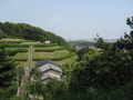 [長沼公園]平山口から南陽台方向