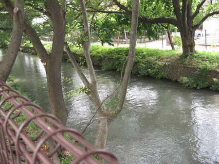 [玉川上水緑道]