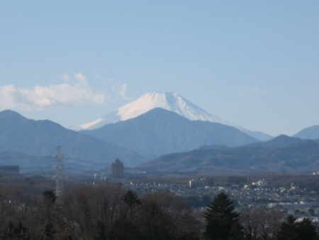 初富士山