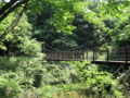 [蓮生寺公園][新緑]