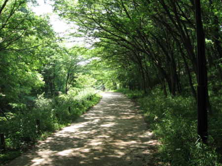 [長池公園]