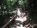 [蓮生寺公園]たんけんの道