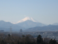 [富士山]