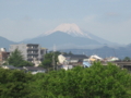 まさしく富士山