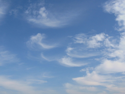 秋の空