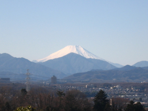 今朝は冷えたから富士山が綺麗だな