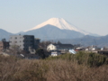 [富士山]久しぶり