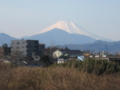 [富士山]