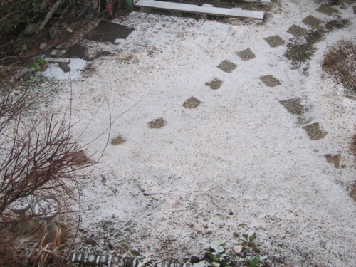 [冬][雪]