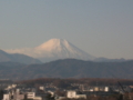 [富士山]