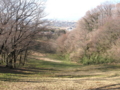 [長沼公園]殿ヶ谷の道
