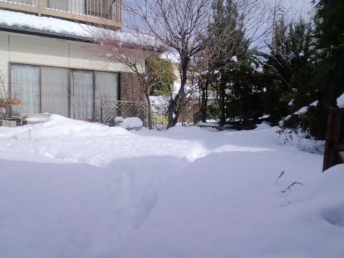 積雪32cm