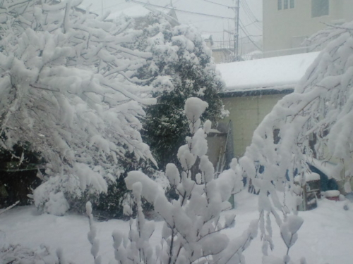 2月14日再び雪