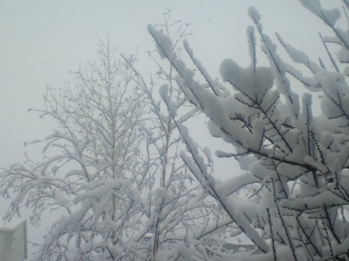 2月14日再び雪