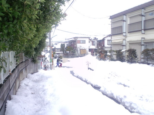 雪の捨て場に困るほどの豪雪