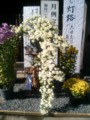 [菊]菊祭り