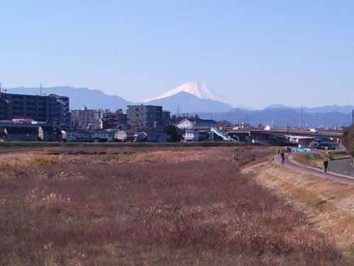 久々の富士山