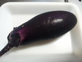 [初物][収穫]茄子の初物