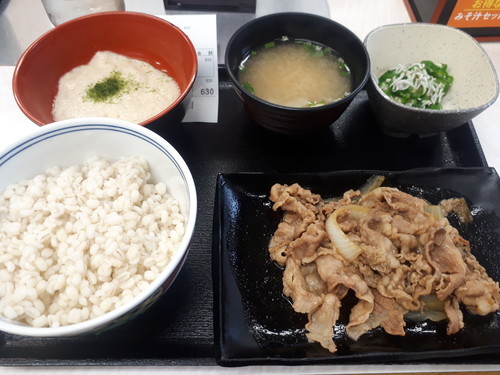 麦とろ牛皿定食