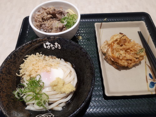 ミニ塩豚丼温玉ぶっけけ＋かき揚げ