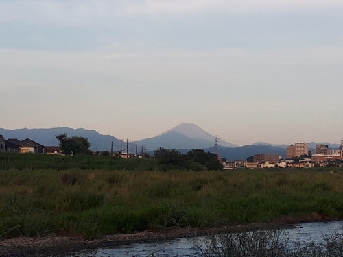 久々の富士山