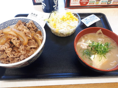 牛丼＋とん汁＋サラダ