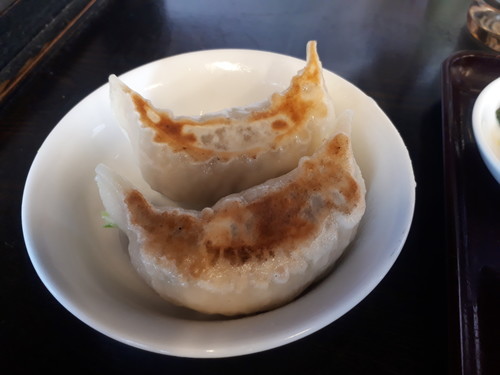 遅れて来た餃子