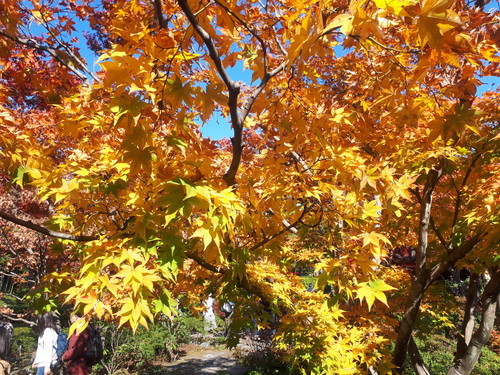 日本庭園