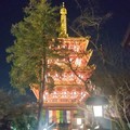 [お寺]高幡不動尊