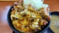 [からやま][☆☆][丼]カレーからあげ丼