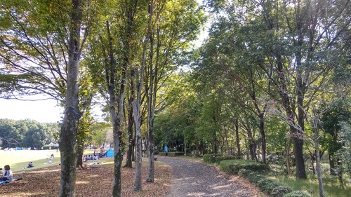 埼玉農林公園