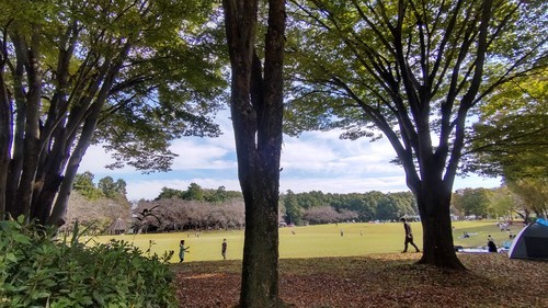 埼玉農林公園