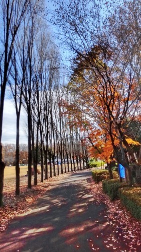 埼玉農林公園