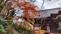 [高幡不動][お寺]高幡不動尊