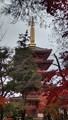 [高幡不動][お寺]高幡不動尊