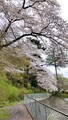 [お寺]高幡不動尊