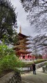 [お寺]高幡不動尊