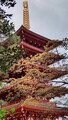 [お寺]高幡不動尊