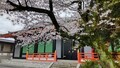 [お寺]高幡不動尊