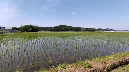 道の駅ましこ