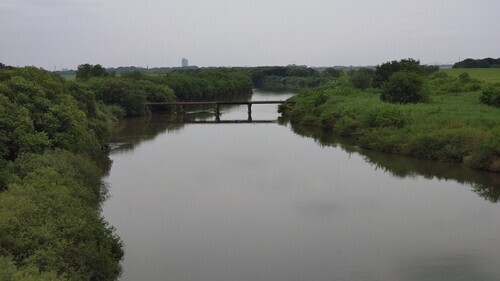 渡良瀬遊水地