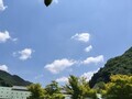 [道の駅]道の駅あしがくぼ